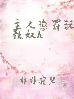 主人惩罚玩弄调教奴h