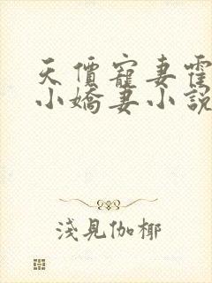 天价宠妻霍总的小娇妻小说免费