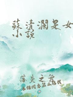 苏清澜是女主的小说