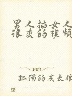 男人插女人下面很爽的视频