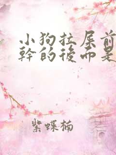 小狗拉屎前面是干的后面是稀的