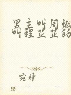 男主叫周燃女主叫程芷芷的小说