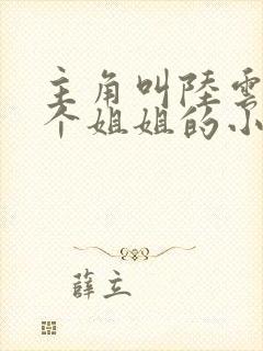 主角叫陆云有七个姐姐的小说