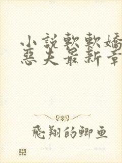 小说软软娇妻驭恶夫最新章节