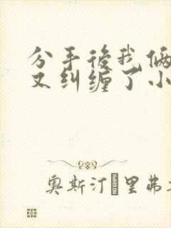 分手后我俩居然又纠缠了小说阅读