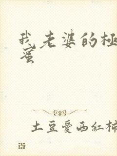 我老婆的极品闺蜜