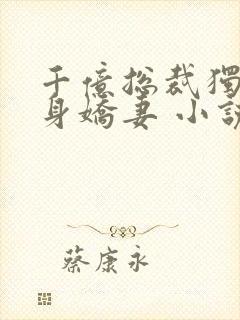 千亿总裁独宠替身娇妻 小说完整