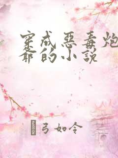 穿成恶毒炮灰少爷的小说