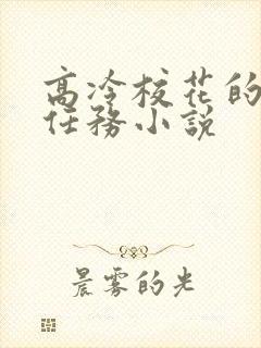 高冷校花的羞耻任务小说