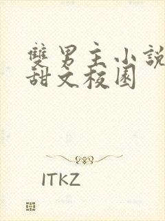 双男主小说推荐甜文校园