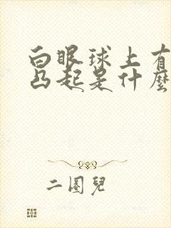 白眼球上有黄色凸起是什么