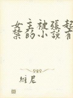 女主被张起灵囚禁的小说有哪些