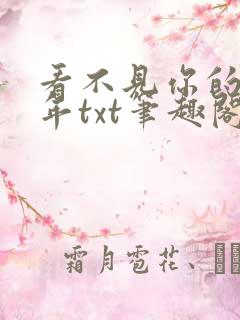 看不见你的第十年txt笔趣阁