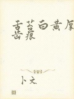 舌苔白黄厚腻有齿痕