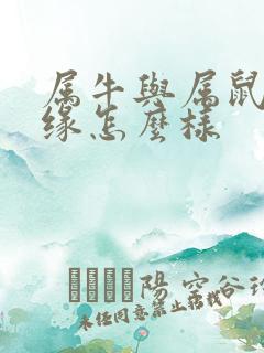 属牛与属鼠的姻缘怎么样