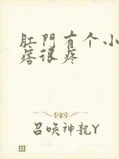 肛门有个小肉疙瘩很疼