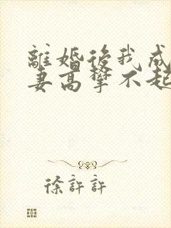 离婚后我成了前妻高攀不起的小说