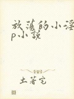 放荡的小淫妇3p小说