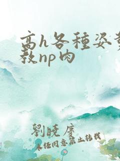 高h各种姿势调教np肉