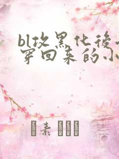 bl攻黑化后受穿回来的小说