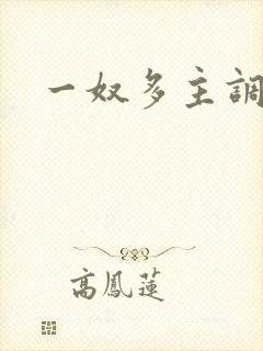 一奴多主调教