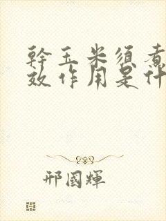 干玉米须煮水功效作用是什么