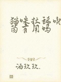 猫咪拉稀吃益生菌有用吗