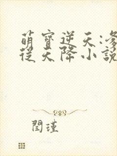 萌宝逆天:爹地从天降小说全文免费阅读