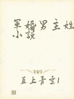 军婚男主姓顾的小说