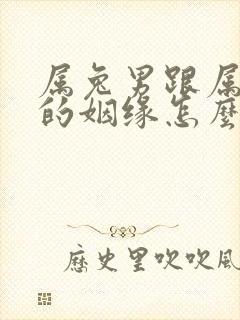 属兔男跟属龙女的姻缘怎么样