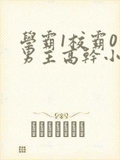 学霸1校霸0双男主高干小说