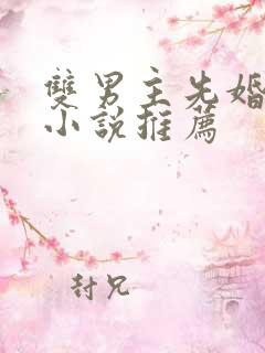 双男主先婚后爱小说推荐