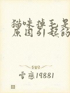 猫咪掉毛是什么原因引起的