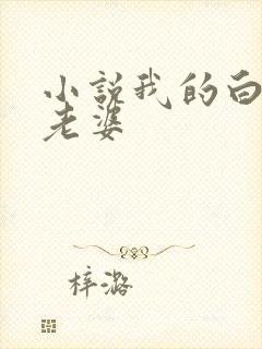 小说我的白富美老婆