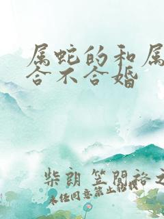 属蛇的和属狗的合不合婚