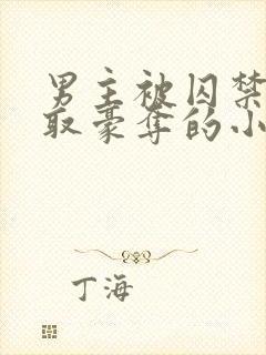 男主被囚禁被强取豪夺的小说