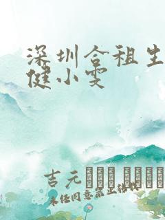 深圳合租生活许健小雯