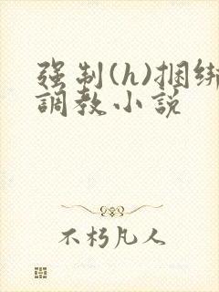 强制(h)捆绑调教小说