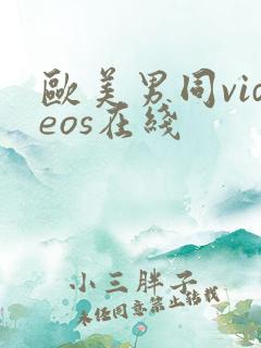 欧美男同videos在线