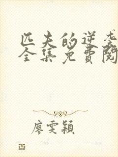 匹夫的逆袭小说全集免费阅读