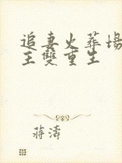 追妻火葬场双男主双重生