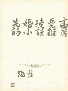 先婚后爱高干文的小说推荐