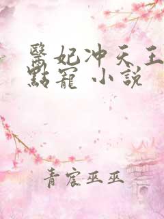 医妃冲天王爷轻点宠 小说