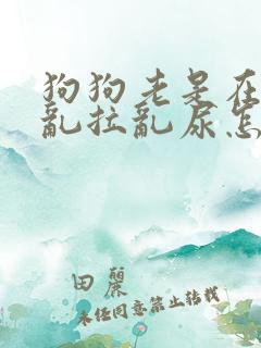 狗狗老是在家里乱拉乱尿怎么办