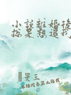 小说离婚后前夫总是想追我免费看