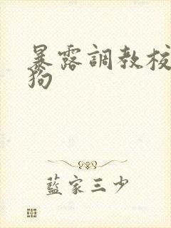 暴露调教校花母狗