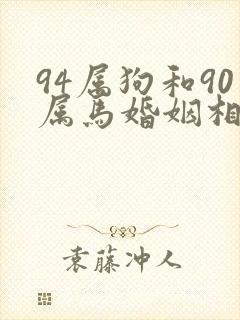 94属狗和90属马婚姻相配吗
