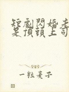 短剧闪婚老公竟是顶头上司免费