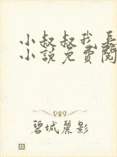 小叔叔我长大了小说免费阅读全文