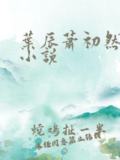 叶辰萧初然有声小说